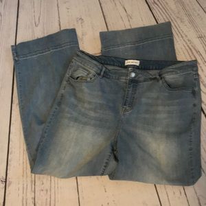 Lane Bryant jeans